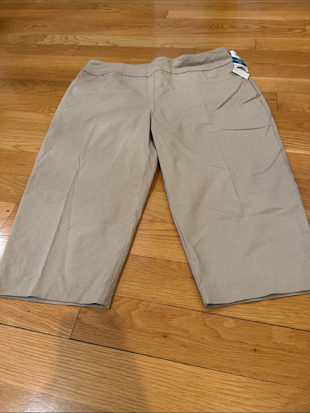 NWT Terra & Sky stretch holds shape tummy control capris size 0X . (14W) .
